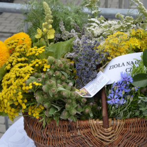 Janowskiego Święta Ziół 31.07.2022 r.