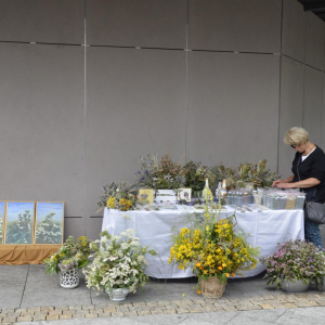 Janowskiego Święta Ziół 31.07.2022 r.