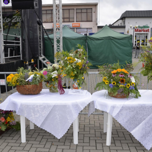 Janowskiego Święta Ziół 31.07.2022 r.